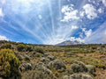 7 Day Machame Route
