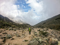 7 Day Lemosho Route