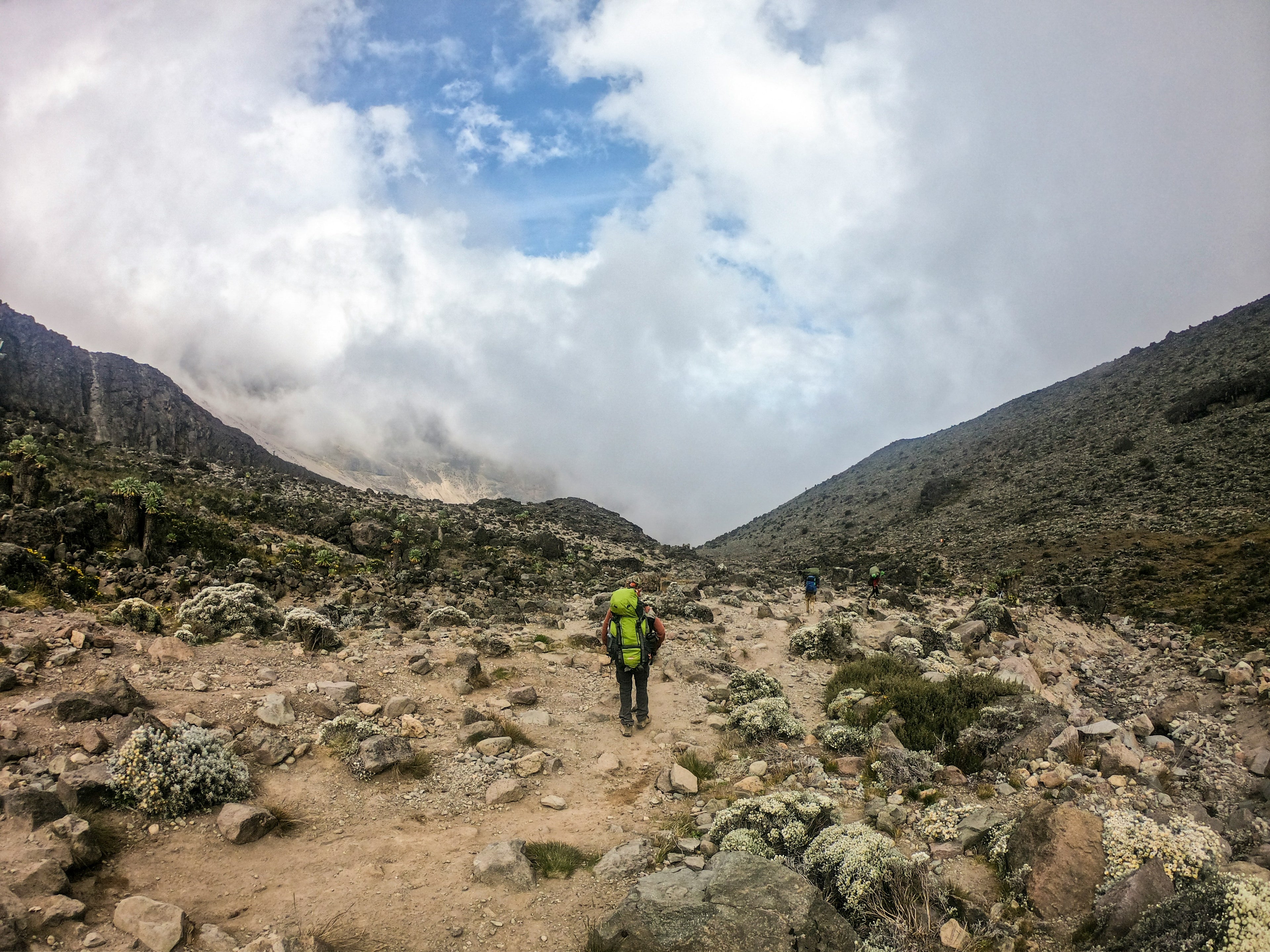 7 Day Lemosho Route