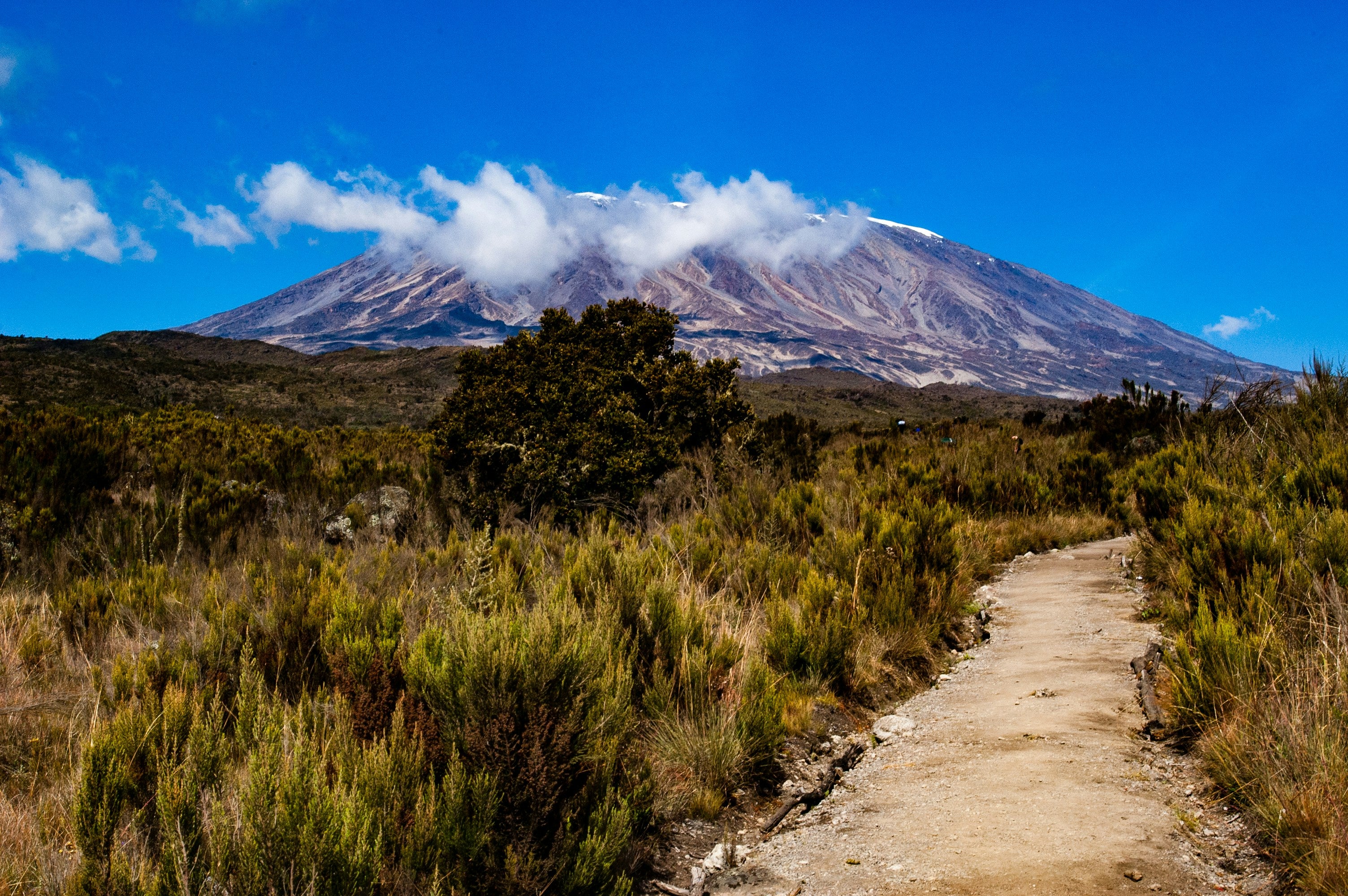 8 Day Lemosho Route